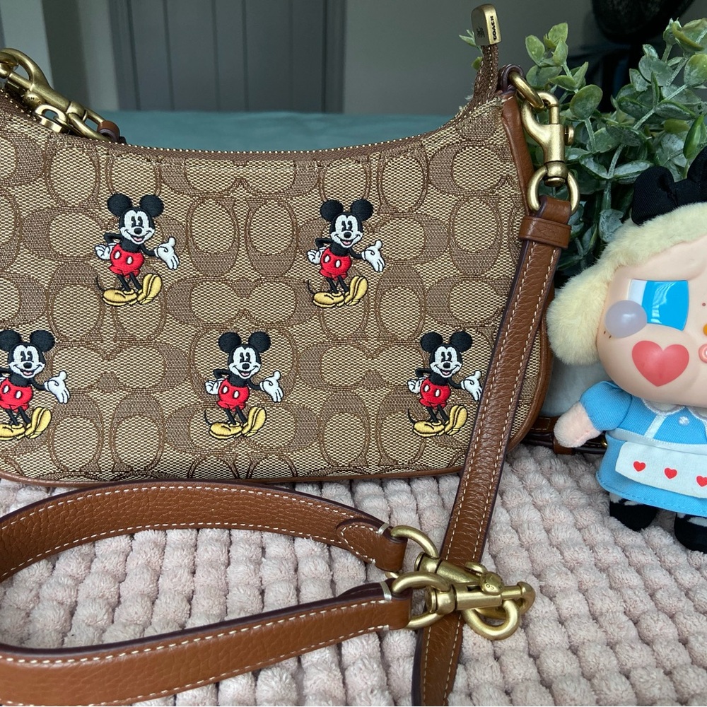 Coach Brown Interior Bag